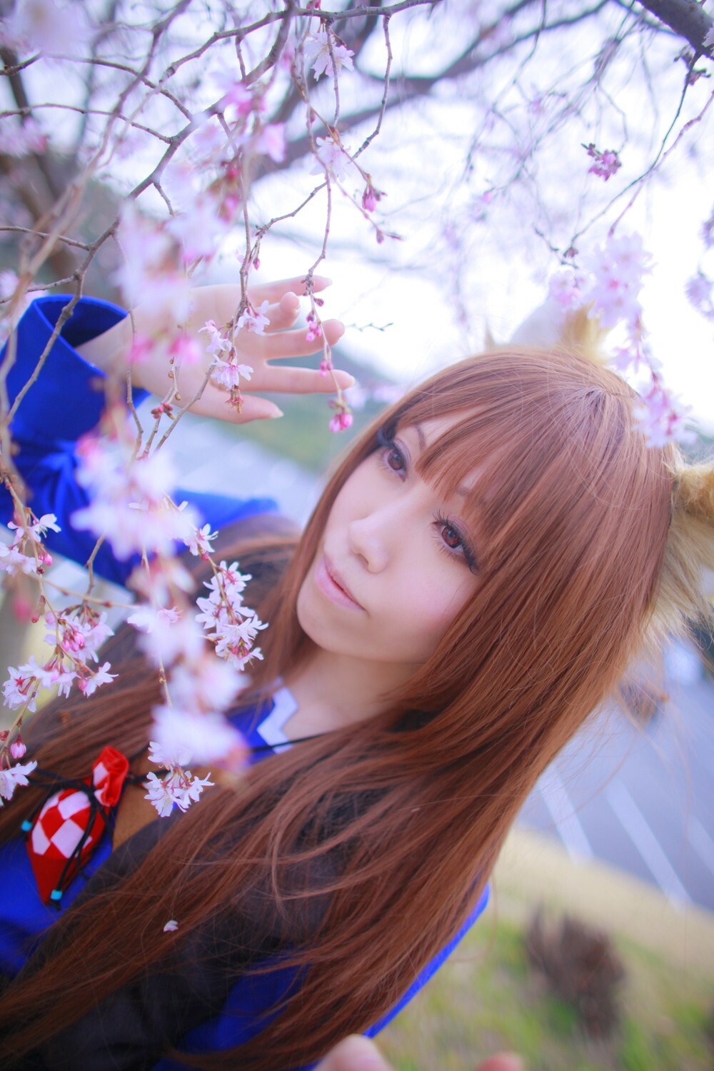 [Cosplay] 2013.04.13 Spice and Wolf Hot Cosplay